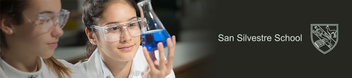 San Silvestre School Banner