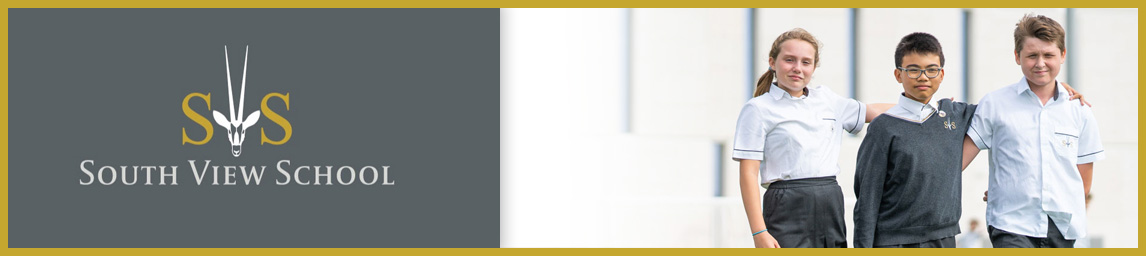 South View School Banner