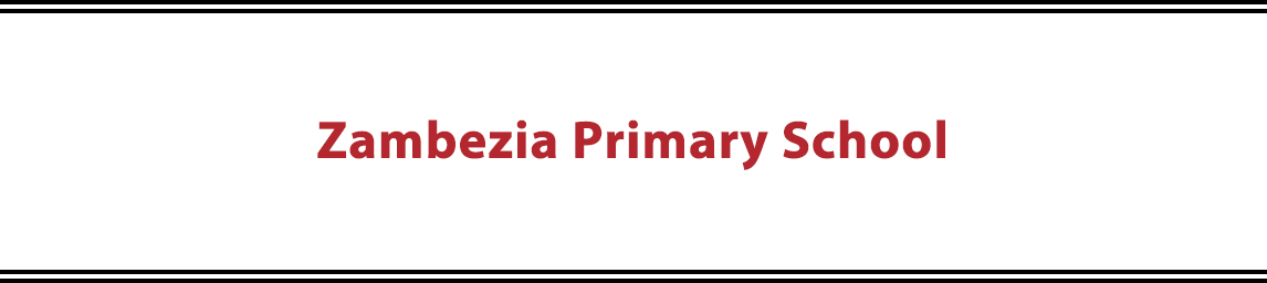 Zambezia Primary School Banner