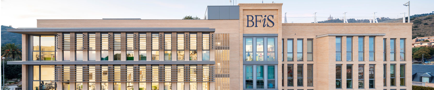 Social and Emotional Counselor Banner Image