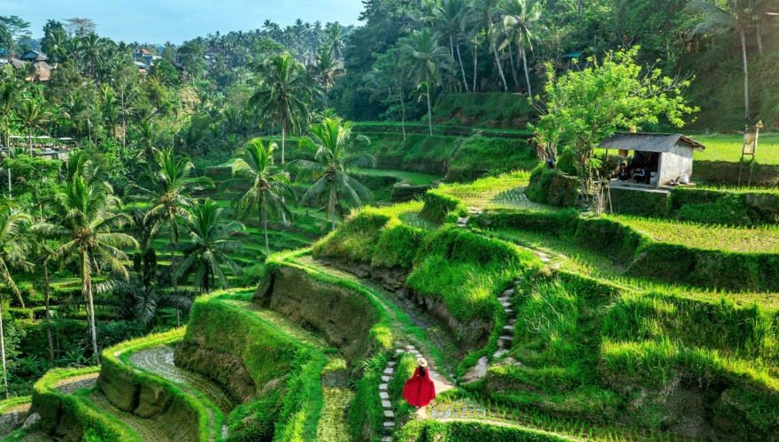 International teaching jobs closing this week   24 March 2025