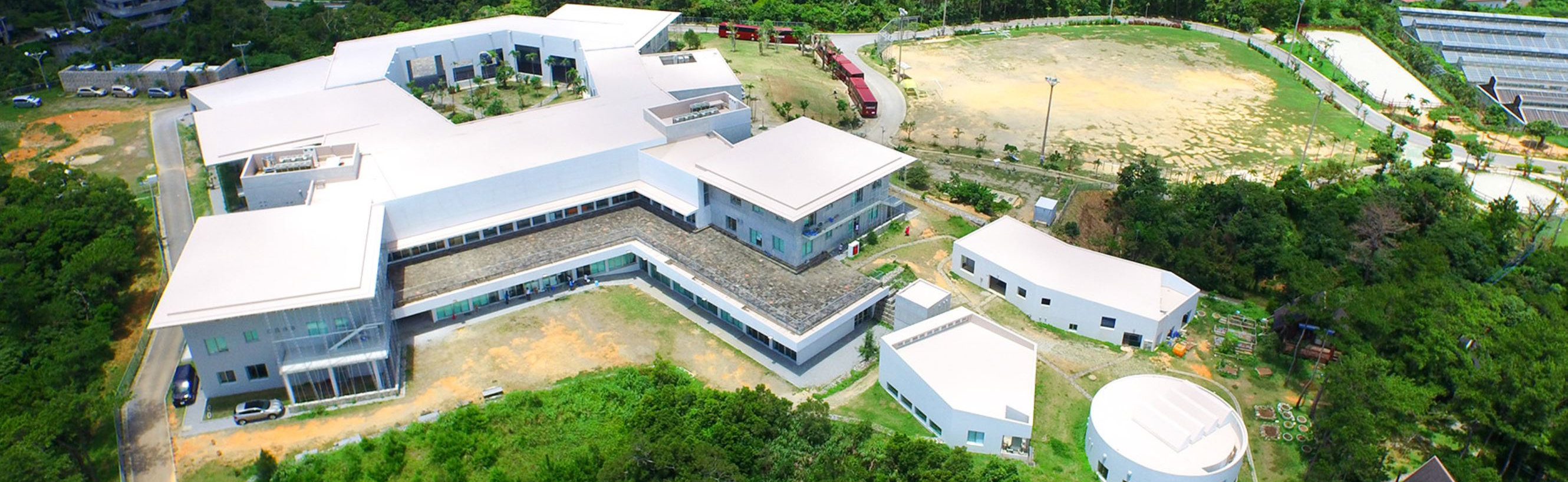 Okinawa AMICUS International Banner