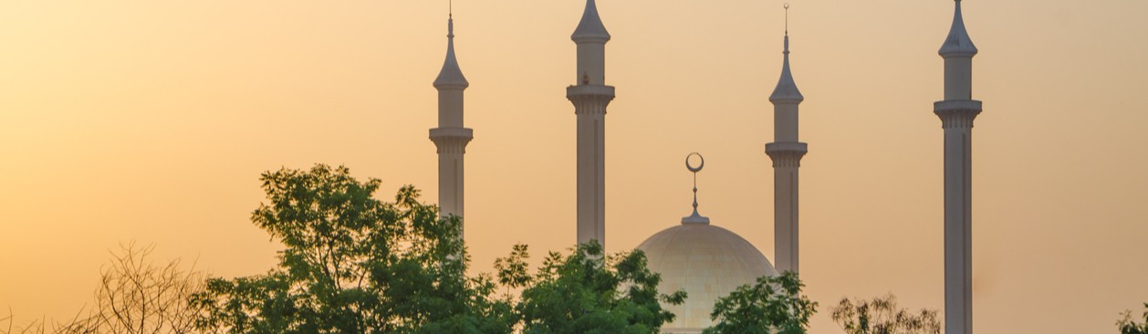 American International School of Abuja Banner