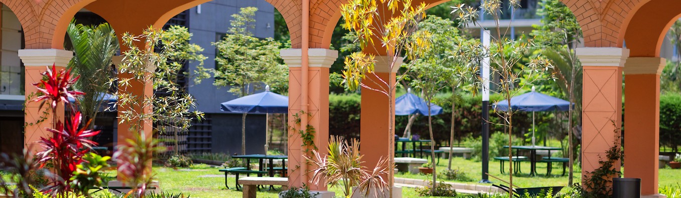 American School of Antananarivo Banner