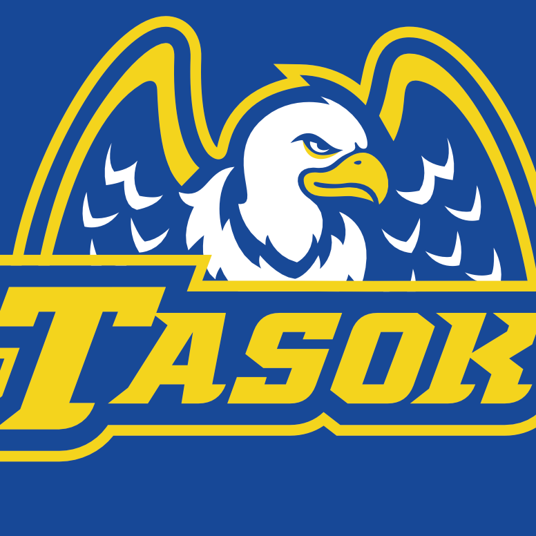 The American School of Kinshasa Logo